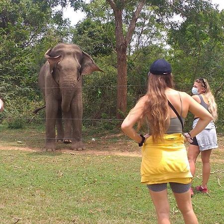 Nature Lovers Safari & Villa ウダワラウェ エクステリア 写真