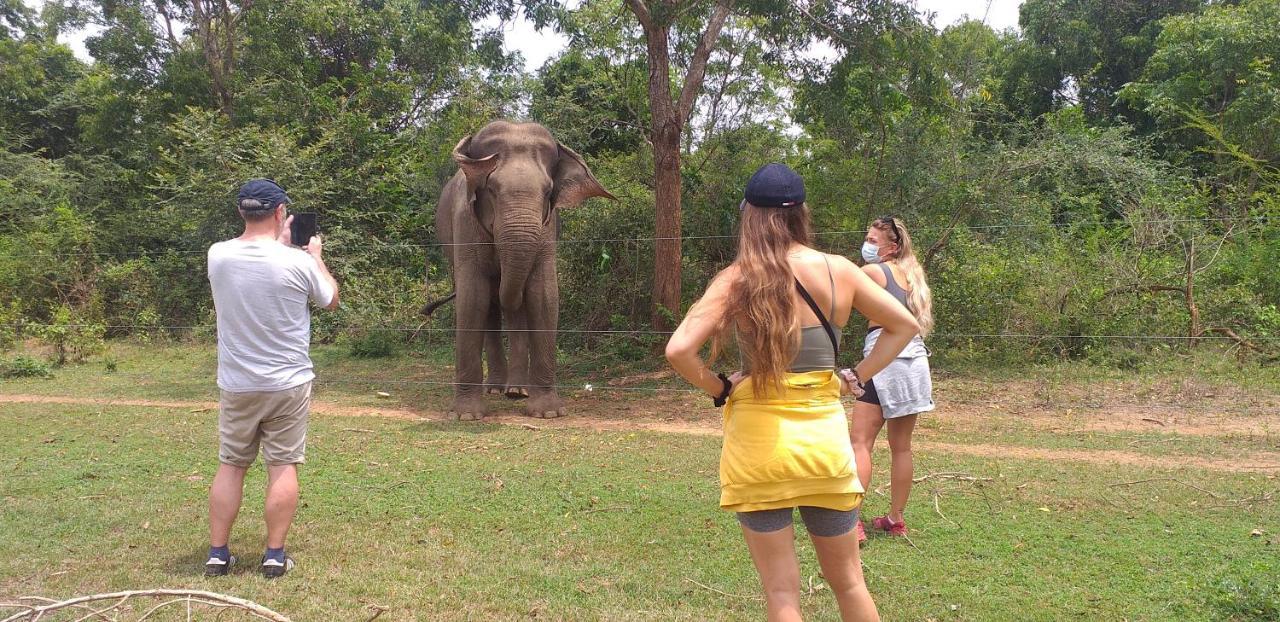 Nature Lovers Safari & Villa ウダワラウェ エクステリア 写真