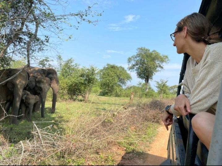 Nature Lovers Safari & Villa ウダワラウェ エクステリア 写真