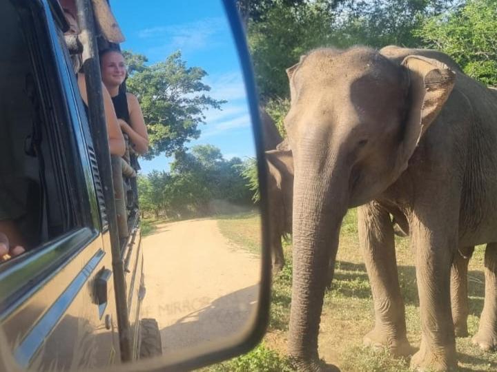 Nature Lovers Safari & Villa ウダワラウェ エクステリア 写真