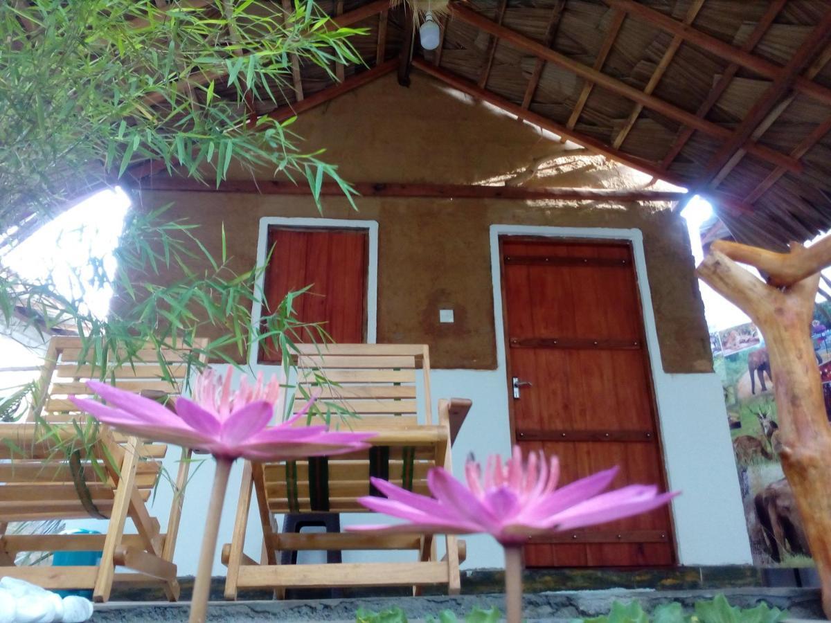 Nature Lovers Safari & Villa ウダワラウェ エクステリア 写真