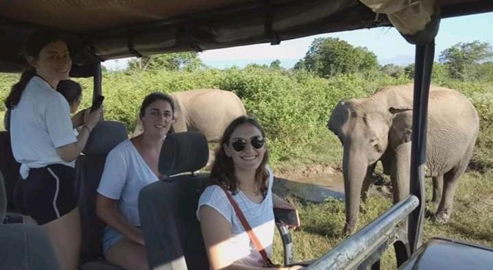 Nature Lovers Safari & Villa ウダワラウェ エクステリア 写真